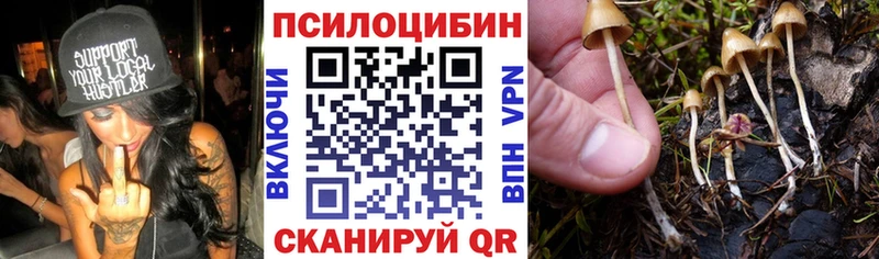 Псилоцибиновые грибы MAGIC MUSHROOMS  Катайск 